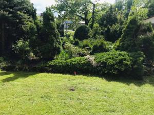 Vonkajšia záhrada v ubytovaní ApartamentVanessa
