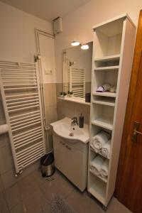 Koupelna v ubytování Apartment Žiži