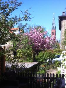 a tree with pink flowers in front of a church at Villa Plana in Copenhagen