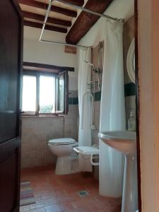 a bathroom with a white toilet and a sink at Agriturismo Ombianco in Seggiano +23 photos