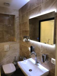 a bathroom with a sink and a mirror and a toilet at ASADOR in Netphen