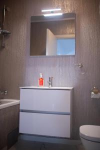 a bathroom with a white sink and a mirror at Apartament Denissia in Oradea +28 photos