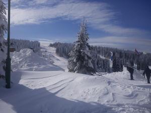 JOPA Suncani breg v zimě