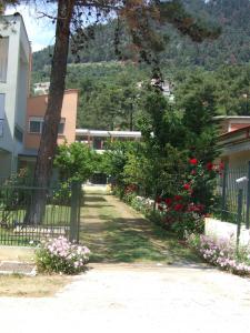 Gallery image of House by the sea in Chrysi Ammoudia