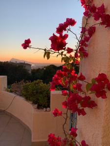 Fotografie z fotogalerie ubytování Villa Dinamarca v destinaci Altea