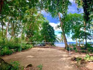 Un jardín fuera de Hotel Casa Vito Beachfront