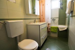 a bathroom with a toilet and a sink and a mirror at Apartment Fiorenini 2 in Mlini +18 photos