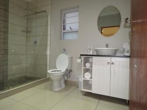 ein Bad mit einem WC, einem Waschbecken und einer Dusche in der Unterkunft a Dam's View Accommodation in Queenstown