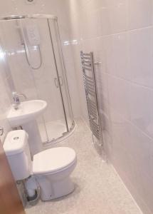 a bathroom with a shower and a toilet and a sink at North Coast Property - North Coast House in Thurso