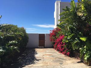 a walkway leading to a house with pink flowers at Dream a Little in Simonʼs Town