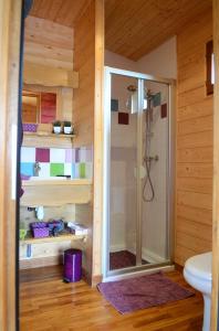 a bathroom with a shower and a toilet at Rosalie in Fiquefleur-Équainville