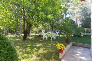Zahrada ubytování House Kontus