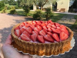 Galeriebild der Unterkunft Agriturismo Bitturelli in Ponti Sul Mincio + 21 Fotos