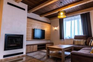 a living room with a fireplace and a tv at Vila Albrecht Vimperk in Vimperk