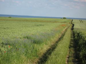 Galeriebild der Unterkunft Landhaus am Haff A9 in Stolpe auf Usedom