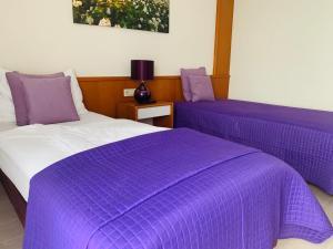 NeudörflにあるTennis- und Freizeitzentrum Neudörflの紫の毛布が備わる客室内のベッド2台