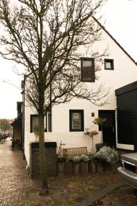 een wit huis met een boom ervoor bij Appartement Lefferts in Zandvoort