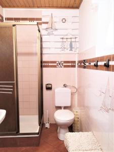 La salle de bains est pourvue d'une douche et de toilettes. dans l'établissement Apartament w domu wakacyjnym ROBERTO, à Rowy