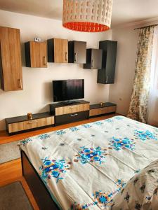 a bedroom with a bed and a flat screen tv at Cozy Studio in Cugir