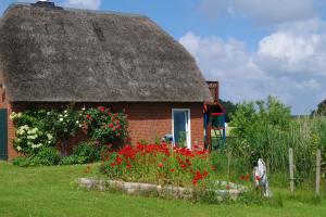 mały ceglany dom z dachem krytym strzechą i kwiatami w obiekcie Ferienwohung II (Schardeich) w mieście Pellworm