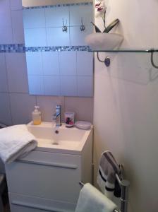 La petite salle de bains est pourvue d'un lavabo et d'un miroir. dans l'établissement La Maison D'Adam, à Hellemmes-Lille