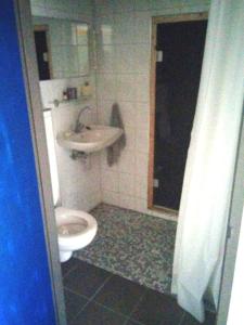 een badkamer met een toilet en een wastafel bij B&B 16C Maassluis NL in Maassluis