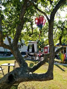 a tree with a bunch of kites flying in the sky at Gotland of Sweden - bed & breakfast in Tingstäde