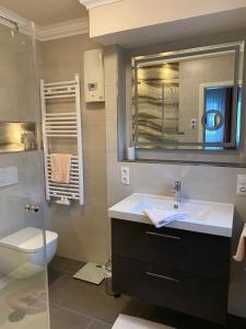 een badkamer met een wastafel, een toilet en een spiegel bij Ferienhaus Nehring in Bad Neuenahr-Ahrweiler