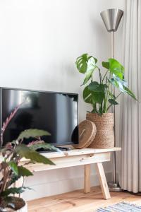 a tv sitting on a table with plants on it at Gorgeous And Stylish Place For Two In Hip West! in Amsterdam