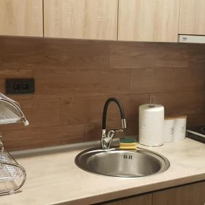 Кухня или мини-кухня в Milmari Resort Maša S6
