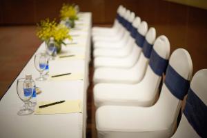 Konferenční prostory v ubytování Windsor Plaza Hotel
