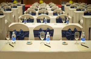 Konferenční prostory v ubytování Windsor Plaza Hotel