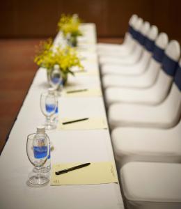 Konferenční prostory v ubytování Windsor Plaza Hotel