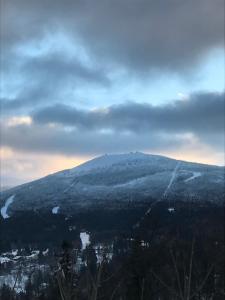 Príroda v okolí privátu