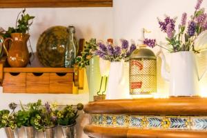 Galeriebild der Unterkunft Blue House Rosalias in Inca