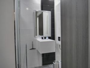 een badkamer met een wastafel en een spiegel bij Le Drouhouse + parking privé in Nancy