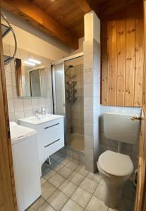 uma casa de banho com um WC, um lavatório e um chuveiro em Tegeler Plate 26 em Wangerland