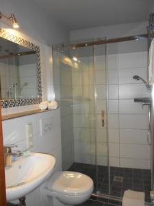 a bathroom with a shower and a toilet and a sink at Gästehaus Moselkloster in Trittenheim