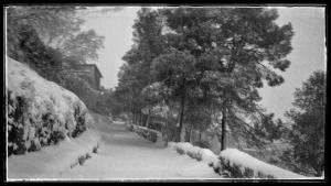 博凱倫特的住宿－Casa Rural Casa Gimeno，一条布满树木的雪覆盖街道和房子