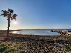 a palm tree on a beach with the ocean at El Nogal Home in Málaga