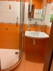 Photo de la galerie de l'établissement Penzion U Splavu, à Břeclav 47 autres photos