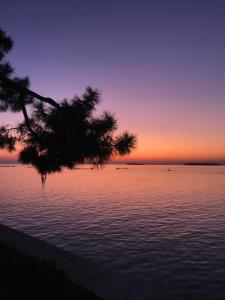 een zonsondergang boven een waterlichaam met een boom bij Lagoon View Apartment in Venetië-Lido