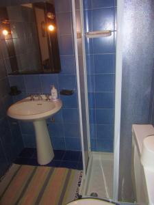 een badkamer met een wastafel, een douche en een toilet bij Miniappartamento Nelle Dolomiti in Selva di Cadore