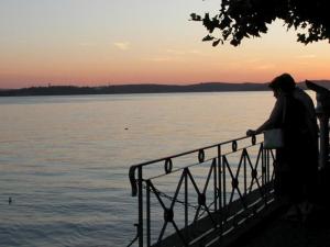 una persona de pie junto a una valla cerca del agua en Schlösschen im Weinberg, en Meersburg