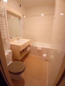 a bathroom with a toilet and a sink and a shower at La Sterne in Saint-Gilles-Croix-de-Vie
