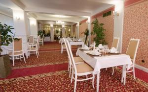 A restaurant or other place to eat at Hotel Ostrov
