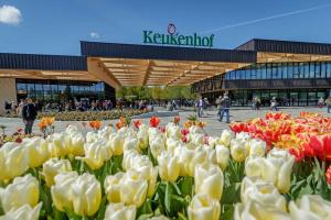 Een lokale bezienswaardigheid vlak bij het vakantiepark