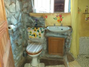 a stone bathroom with a sink and a toilet at The Shoe Guest House in Draasloot