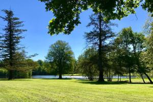 a park with trees and a lake in the background at Romantic anciens cottage in a beautiful park in La Fontaine-Saint-Martin