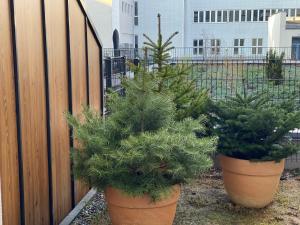 Vonkajšia záhrada v ubytovaní ONE Apartamenty Gąsiorowskich 4